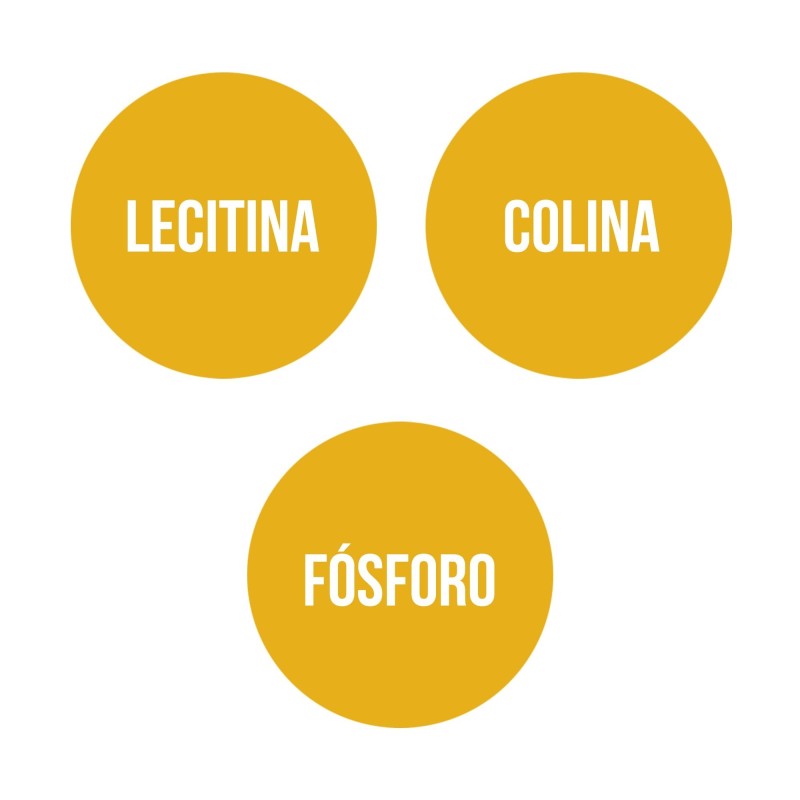 Lecitina de Soja Ana María Lajusticia Perlas 90 unidades - Imagen 5