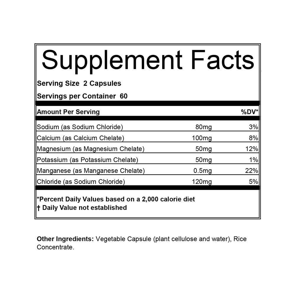 Electrolitos Hammer Nutrition Endurolytes® 120 Cápsulas - Imagen 3