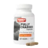 Fully Charged Preentreno Hammer Nutrition